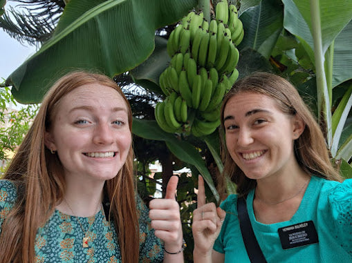 Banana Trees and Yoga Mats! Missionary Email June 8, 2026